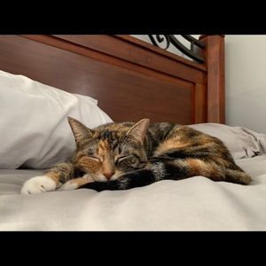 Meet your Posher, Alexis